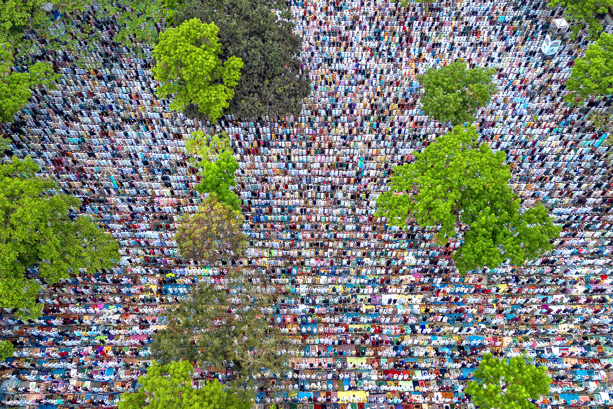 Concorso Nazionale 2025 - Foto vincitrici