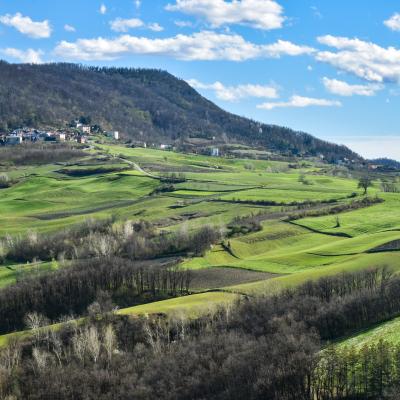 B Barbarini Roberto Voghera Pv B2 Primavera In Oltrepo