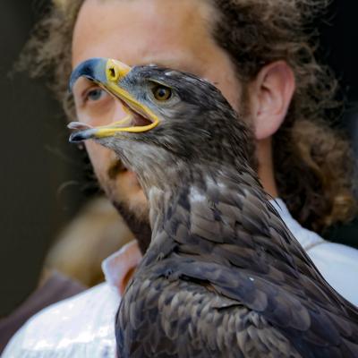 B Campalani Ermanno Sesto San Giovanni Mi B1 La Poiana