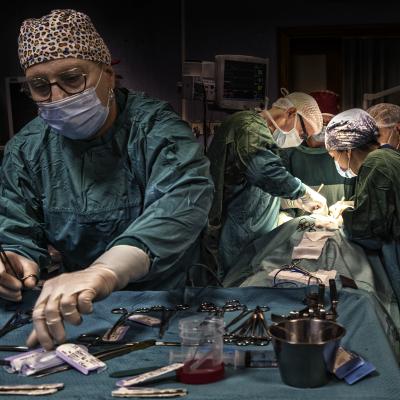 B Di Candia Lorenzo Manfredonia Fg B3 Nurse In The Surgery