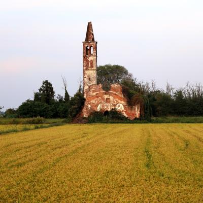 B Mischiatti Marta Cerano No B1 Riso E Rovine