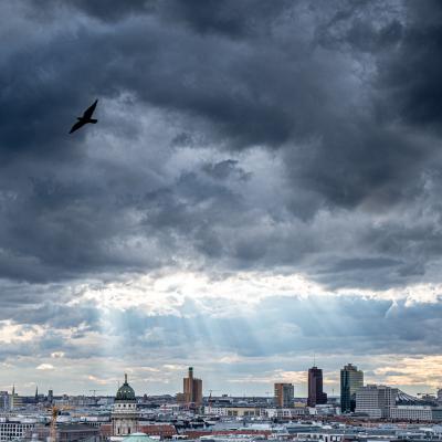 B Salsi Gianfranco Gattatico Re B2 Uber Berlin