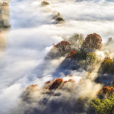 B Tentorio Maurizio Triuggio Mb B2 Nebbia Allalba