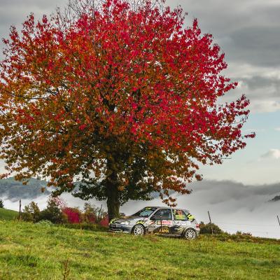 C Dal Pra Antonio San Giovanni Ilarione Vr C3 Fogliage