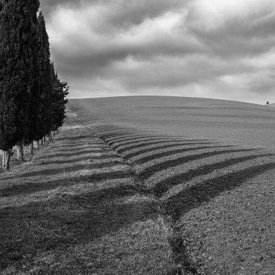 A Biagini Julian P. Monte Santa Maria Tiberina Pg A3 Ombre Ed Alberi