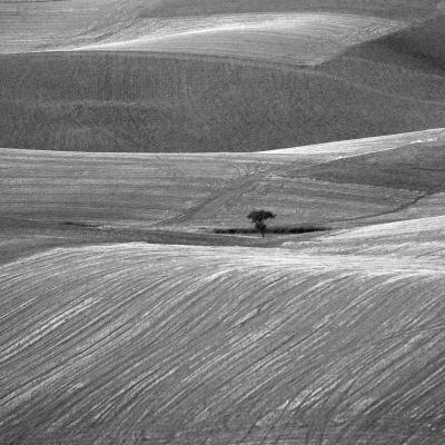 A Rondinone Carlo Formigine Mo A2 Paesaggio Lucano