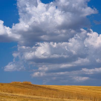 B Di Paola Nicola Concorezzo Mb B3 Fra Terra E Cielo