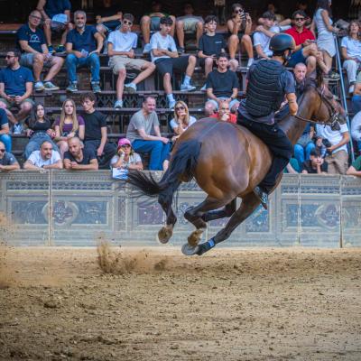 B Martinucci Marcello Reggio Emilia Re B3 Polvere E Gloria