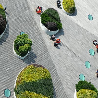 B Aresi Sergio Cilavegna B2 Vilnius Terrazzo Giardino