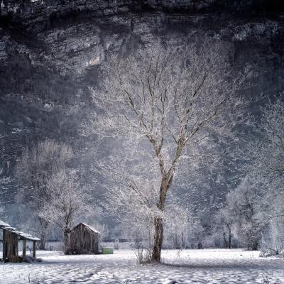 B Boscato Adriano Pove Del Grappa B1 Paesaggio Invernale 43