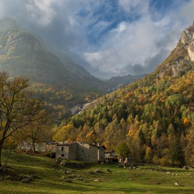 B Di Carlo Giuseppe Peschiera Borromeo B3 An Autumn Day