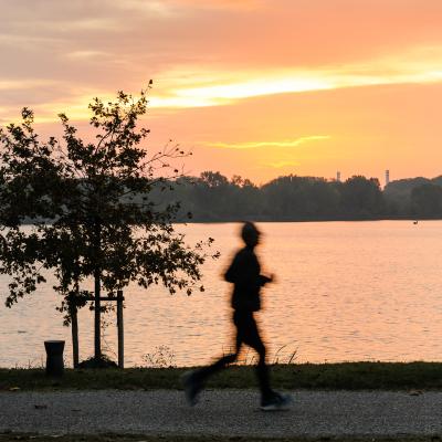 B Falco Giuseppe Mantova B3 Runner Al Levar Del Sole