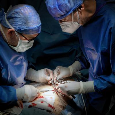 B Minorello Marzio 35020 B2 O.r. Operating Room 05
