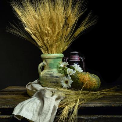 B Tovazzi Mauro Rovereto B3 Zucca Con Spiga