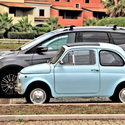 C Puosi Antonio Duilio Massarosa Lu C3 Evoluzione Della Specie