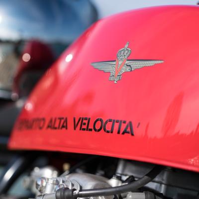 C Rodolfo Moggia Marco Giulio Matteo Vigevano C1 Una Bellezza Nuova La VelocitA