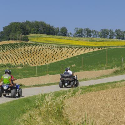 C Sala Franco Monza C3 Monferrato Quad