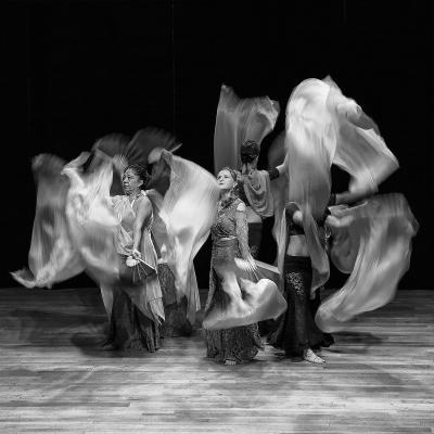 A Giannecchini Vittoriano Massarosa Lu A1 Danza Dei Veli 2