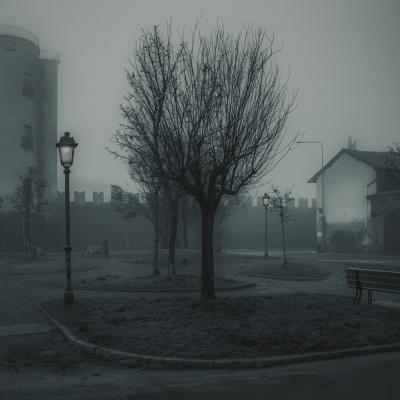 A Bologna Massimiliano GambolO Pv A1 Nebbia Lomellina