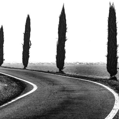 A Campalani Ermanno Sesto San Giovanni Mi A3 I Cipressi