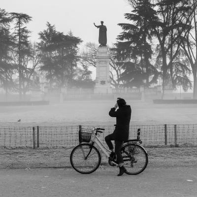 A Falco Giuseppe Mantova Mn A1 Ha Rubato Il Mio Scatto