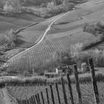 A Monti Michele Montechiaro Dacqui Al A1 Tra I Vigneti Del Monferrato