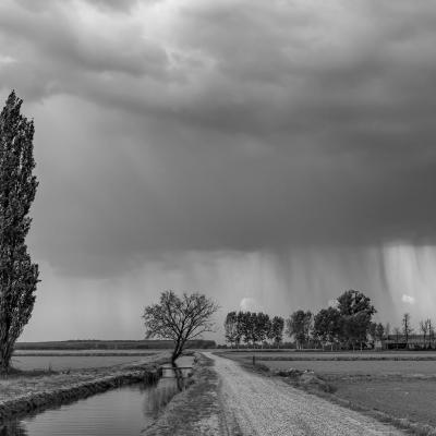 A Paparella Roberto Garlasco Pv A2 Quando La Pioggia Riga Lorizzonte
