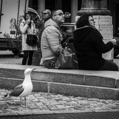 A Portaluri Luigia Voghera Pv A2 Lo Sguardo